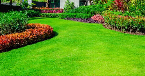 Rich green grass with edged flower beds