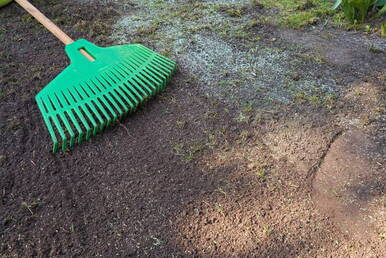 raking lawn for seeding service