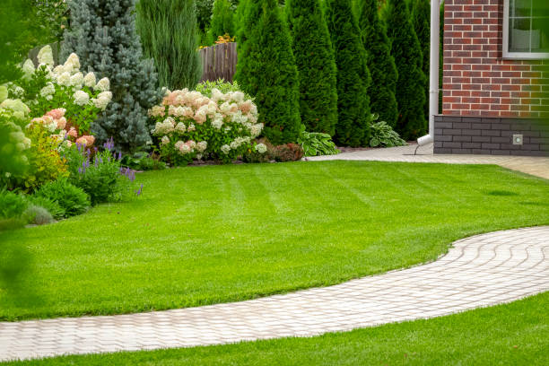 Lawn with edged walkway